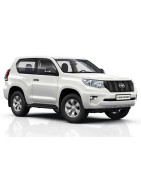 Land Cruiser