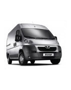 Año 2.006 - Actual.